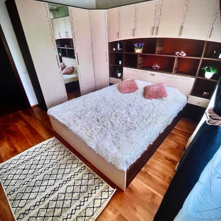 Diana 7 Apartment Cluj Napoca Bagian luar foto