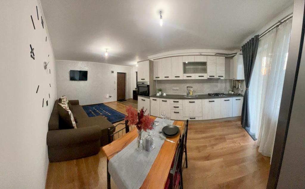 Diana 7 Apartment Cluj Napoca Bagian luar foto