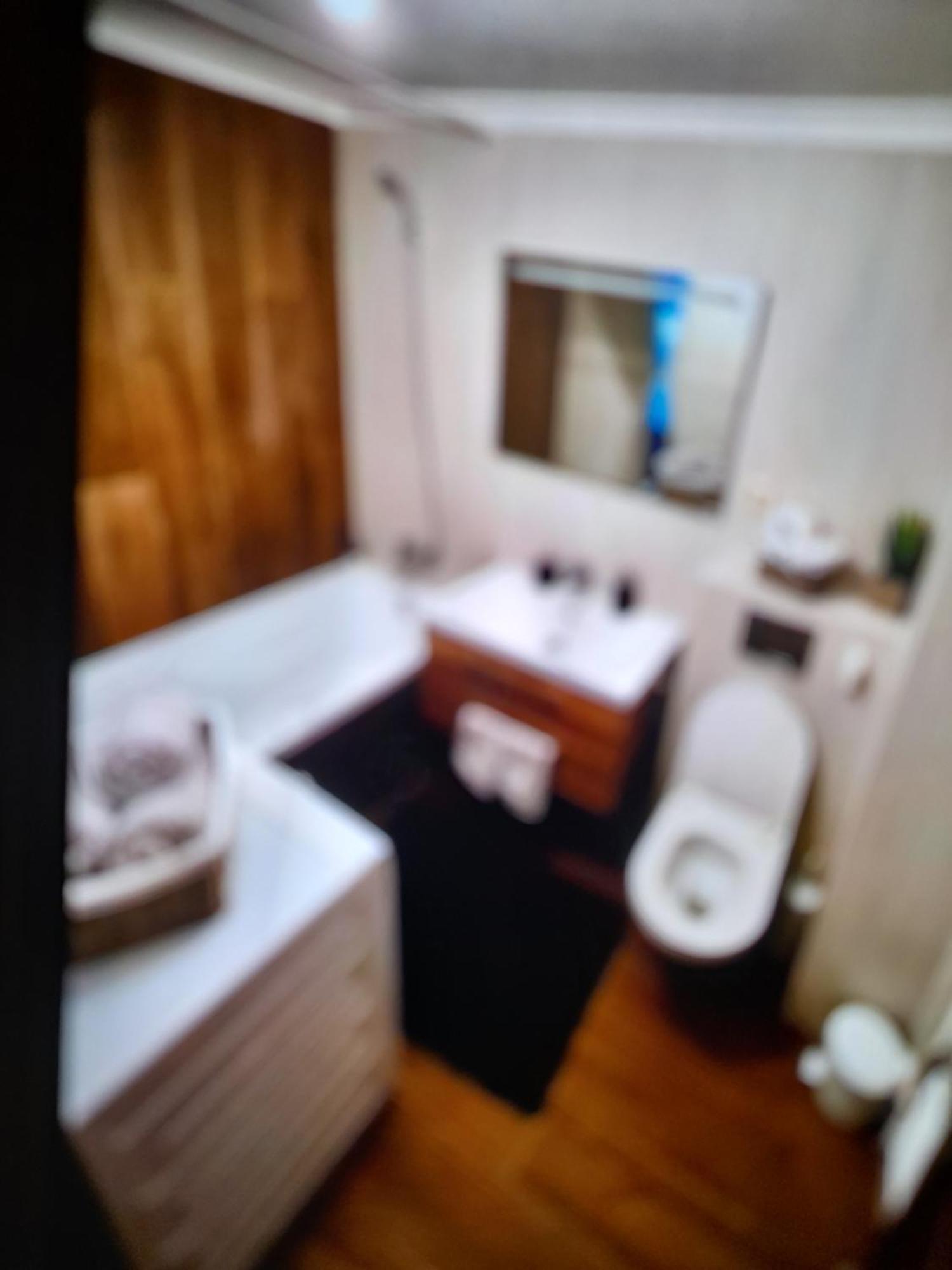 Diana 7 Apartment Cluj Napoca Bagian luar foto